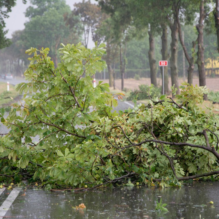 Just another WordPress site Just another WordPress site