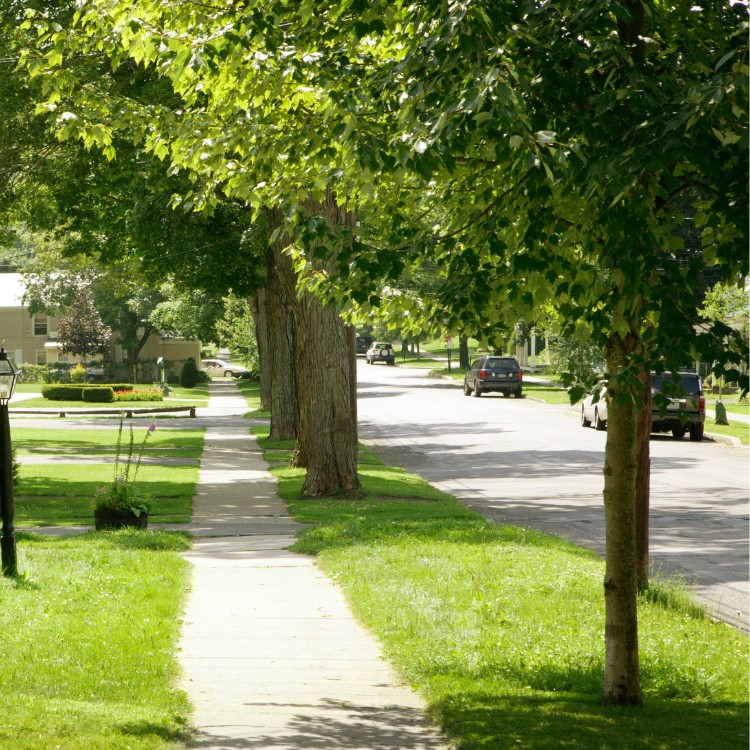 Just another WordPress site