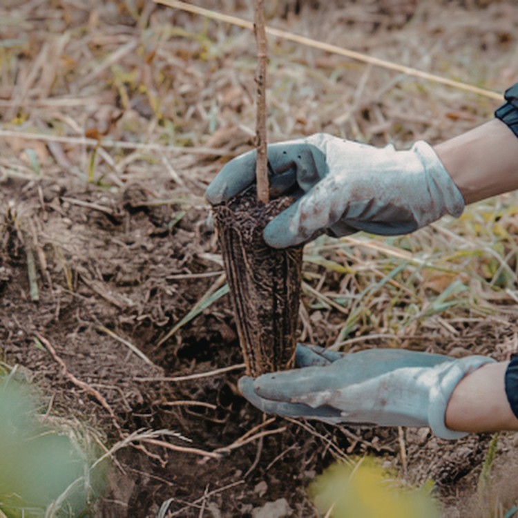 Just another WordPress site