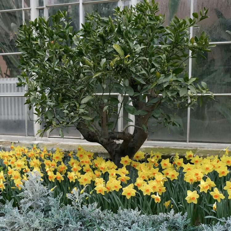 Just another WordPress site