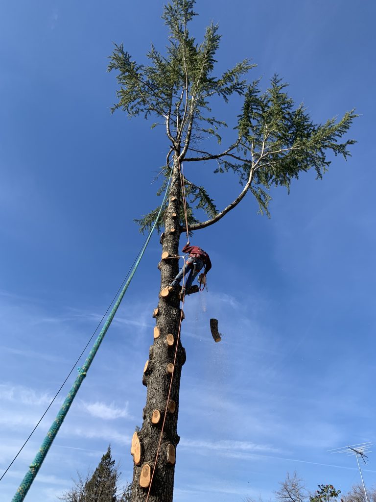 59916685833__1326D01F-64A9-4223-86AA-B40B8B537C99-1774639835114-bn1d1n