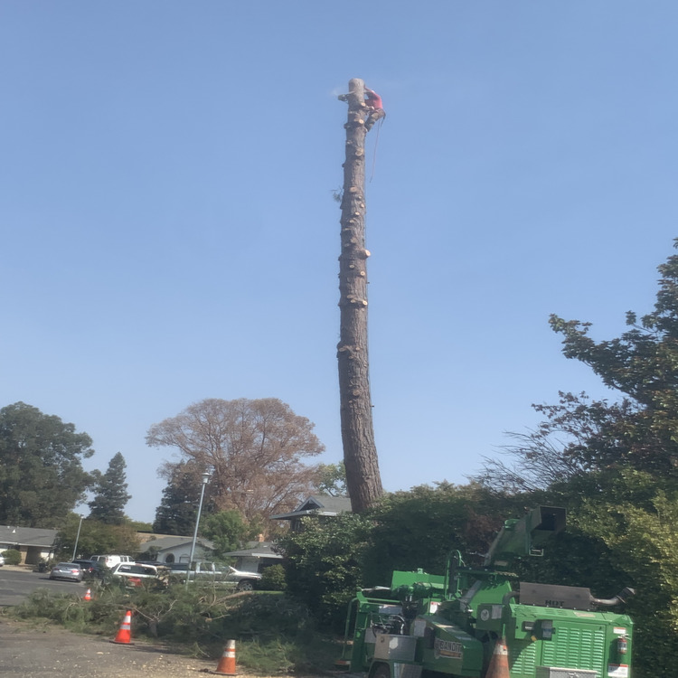 Just another WordPress site