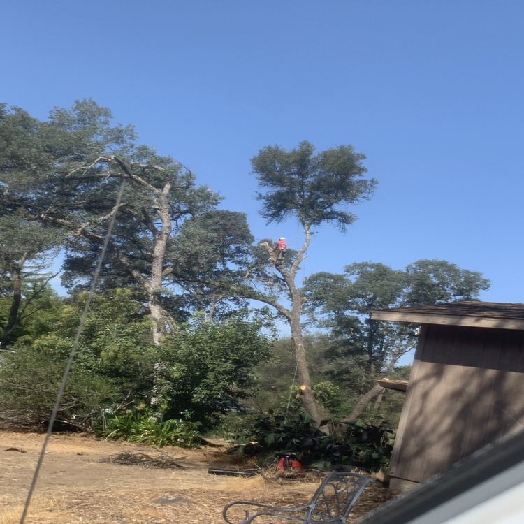 Just another WordPress site