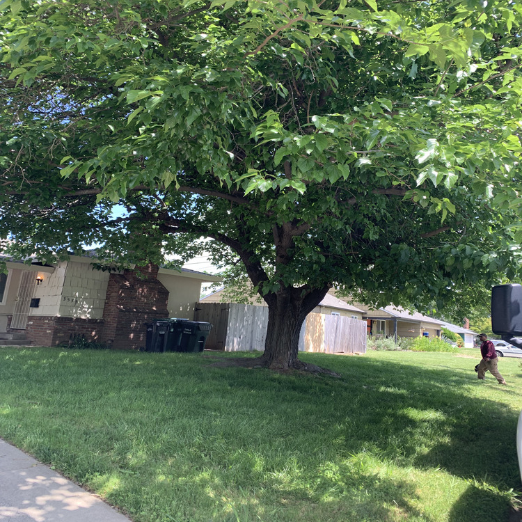 Just another WordPress site Just another WordPress site