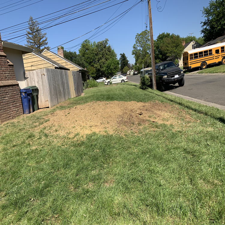 Just another WordPress site