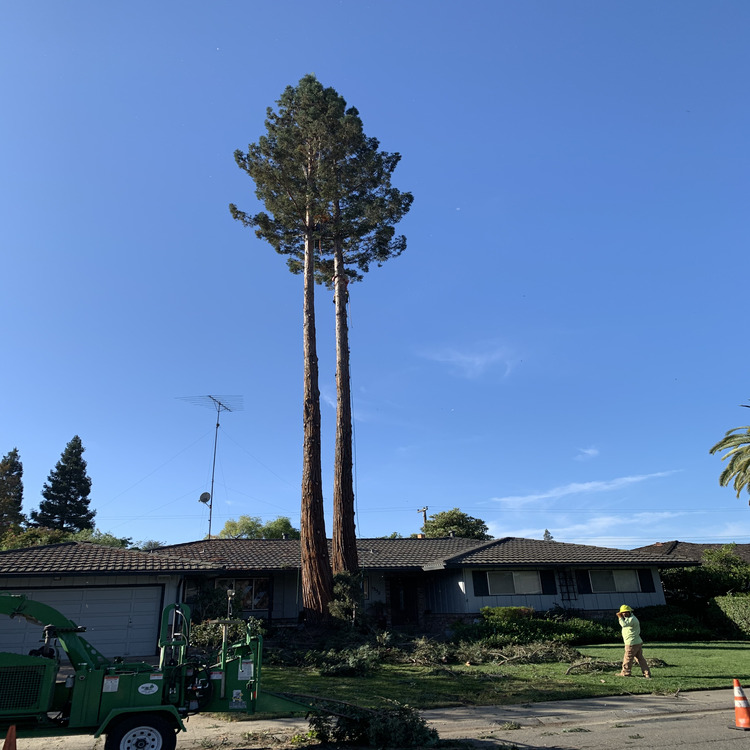 Just another WordPress site Just another WordPress site