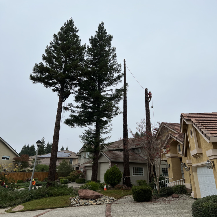 Just another WordPress site