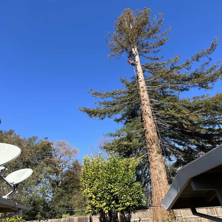 Just another WordPress site Just another WordPress site