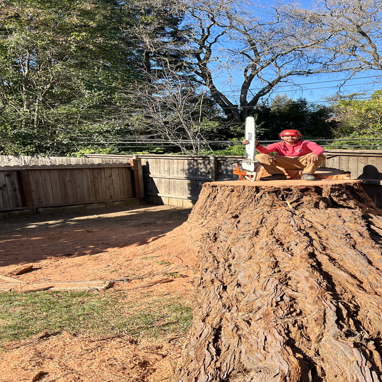 Just another WordPress site