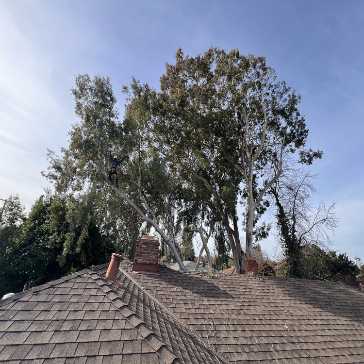 Just another WordPress site Just another WordPress site