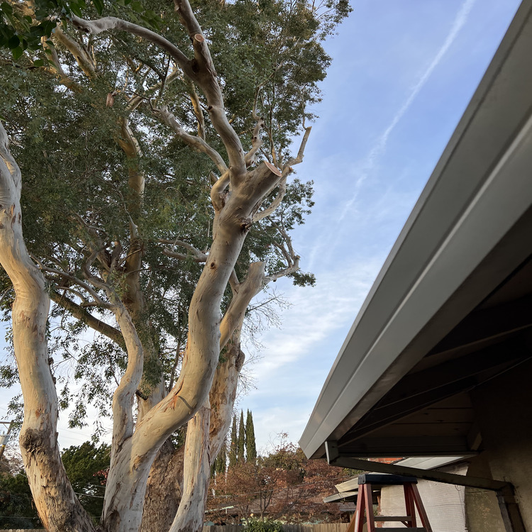 Just another WordPress site