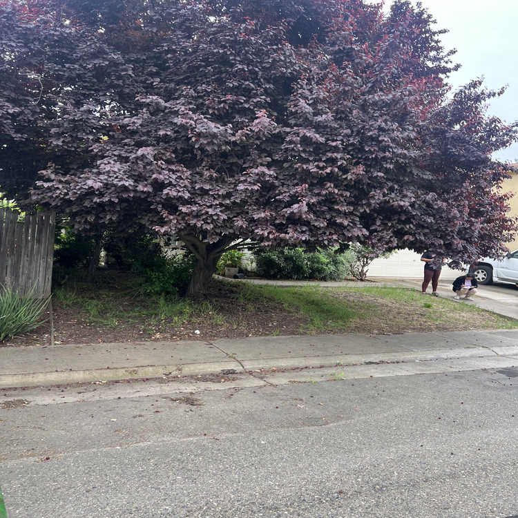 Just another WordPress site Just another WordPress site