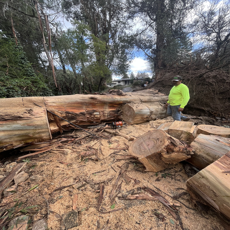 Just another WordPress site Just another WordPress site